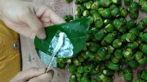 槟榔的制作爆料视频教程,从采摘到成品，一探究竟